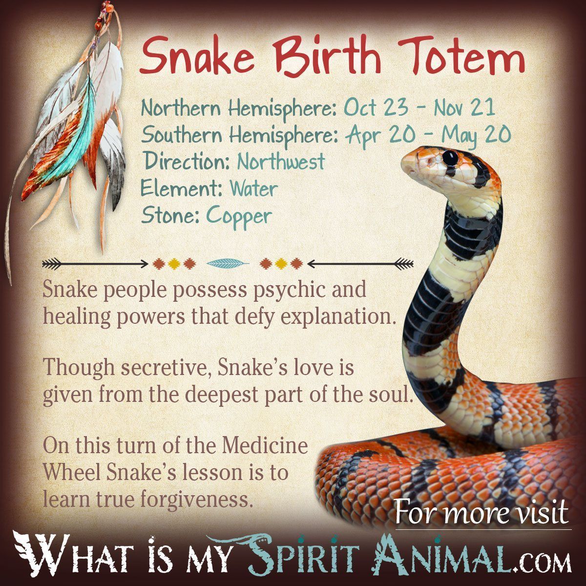 Exploring the Snake Native American Zodiac Sign: Personality and Spiritual Insights 1 Exploring the Snake Native American Zodiac Sign: Personality and Spiritual Insights