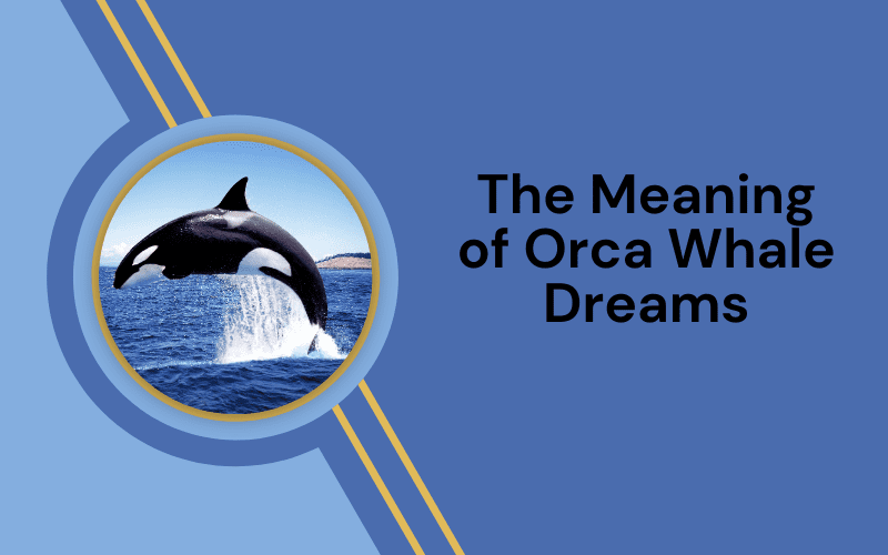 Unlocking the Dream Meaning Orca: Exploring the Spiritual Significance of Killer Whales. 2 Unlocking the Dream Meaning Orca: Exploring the Spiritual Significance of Killer Whales.