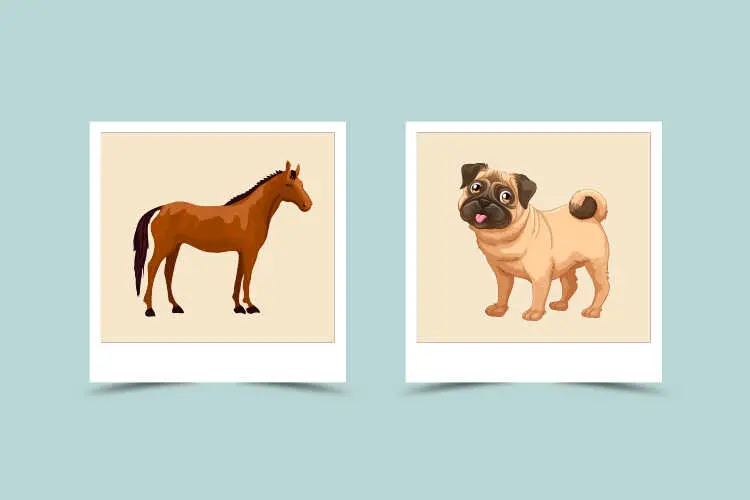 Horse and Dog Chinese Zodiac: Are They a Good Match or Not? Find Out Here. 1 Horse and Dog Chinese Zodiac: Are They a Good Match or Not? Find Out Here.