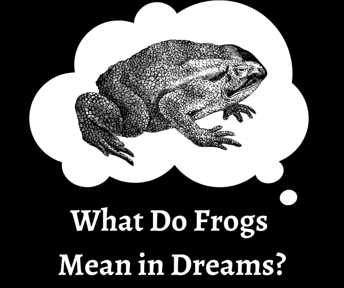 Killing a Frog in Your Dream: A Sign of Transformation or Something Else Entirely? 2 Killing a Frog in Your Dream: A Sign of Transformation or Something Else Entirely?
