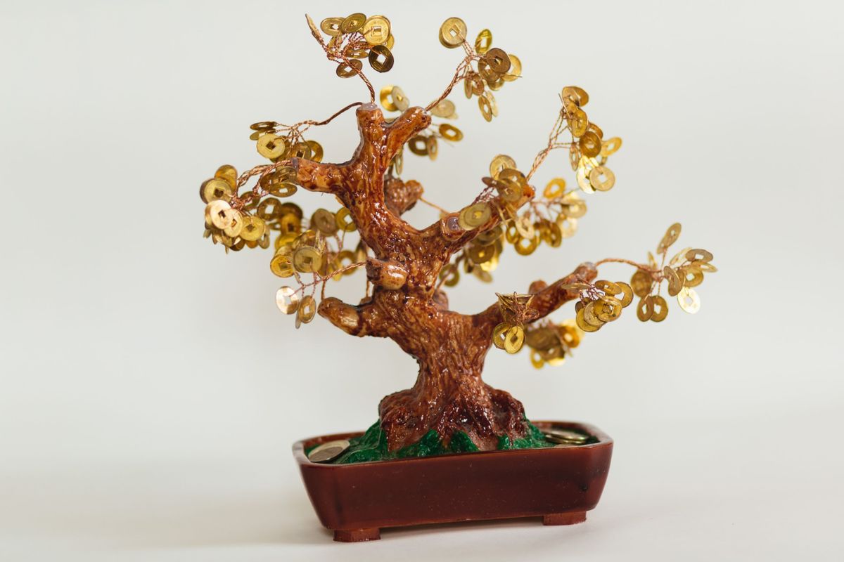 Feng Shui Tree Placement: Avoid Bad Luck, Boost Your Fortune 1 Feng Shui Tree Placement: Avoid Bad Luck, Boost Your Fortune