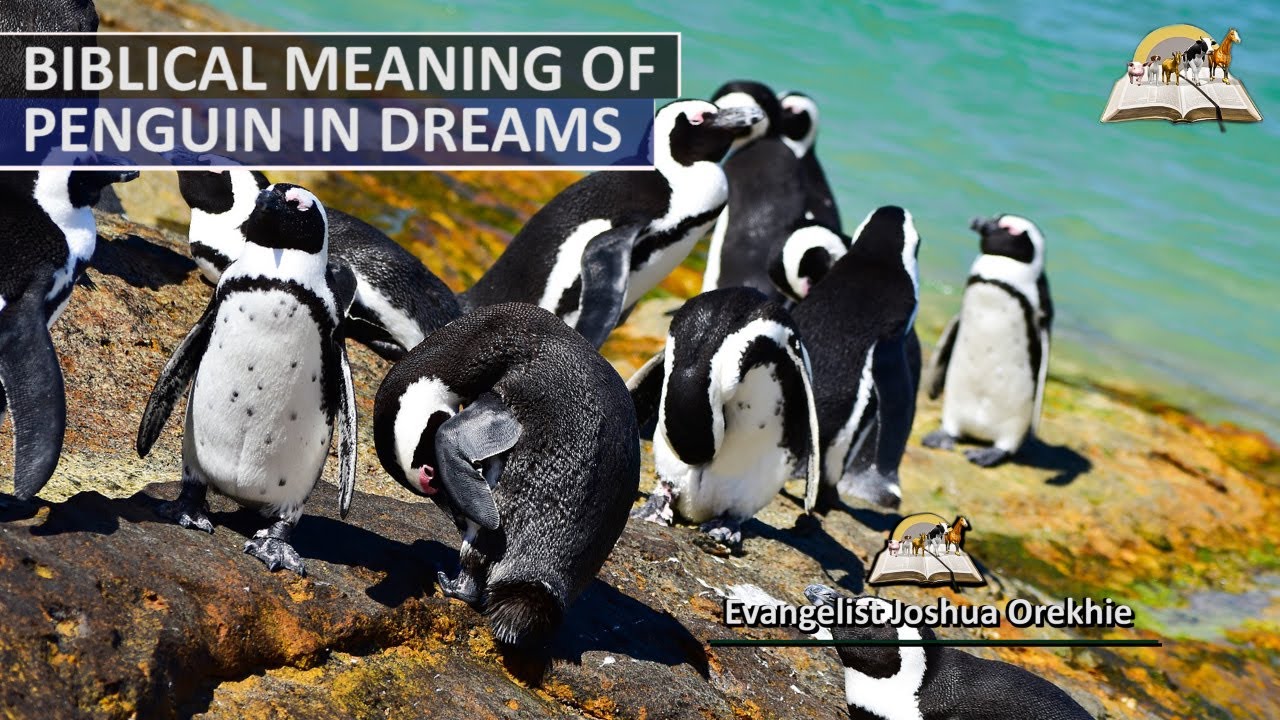 Penguin Dream Meaning: Good Luck or Bad Omen? 3 Penguin Dream Meaning: Good Luck or Bad Omen?