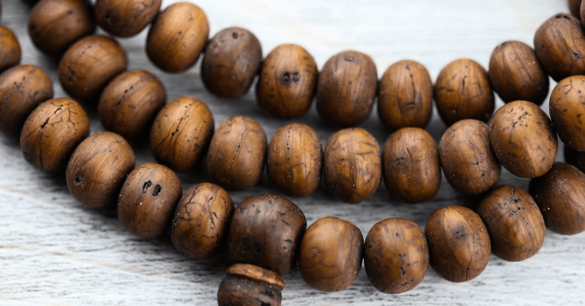 Bodhi Seed Meaning Explained: Finding Calmness and Focus in Daily Life 1 Bodhi Seed Meaning Explained: Finding Calmness and Focus in Daily Life