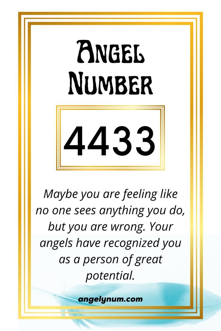 4433 angel number twin flame 3 4433 angel number twin flame