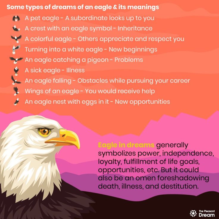 Eagle in Dream Meaning: What Does It Really Mean? 2 Eagle in Dream Meaning: What Does It Really Mean?