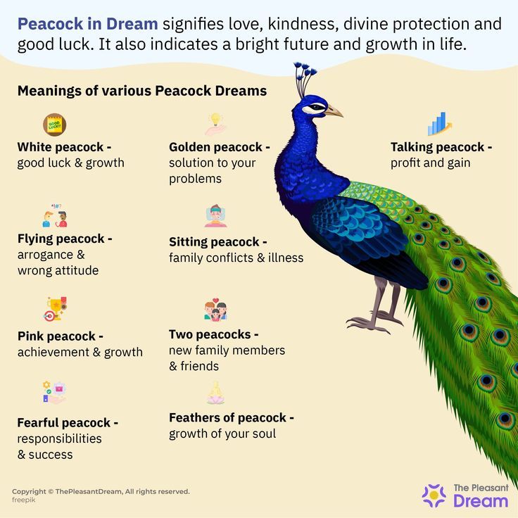 Decipher the Dream Meaning of Peacock: Good or Bad Sign? 1 Decipher the Dream Meaning of Peacock: Good or Bad Sign?