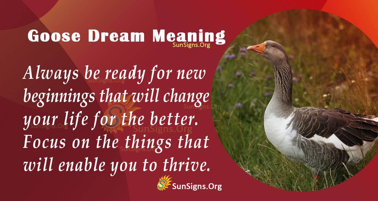 Goose Dream Meaning: Good Luck or Bad Omen? 2 Goose Dream Meaning: Good Luck or Bad Omen?