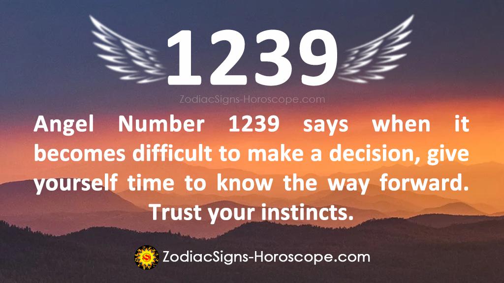 1239 angel number twin flame 2 1239 angel number twin flame