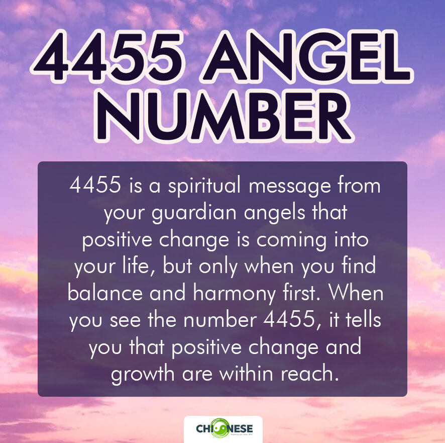 4455 angel number twin flame 4 4455 angel number twin flame