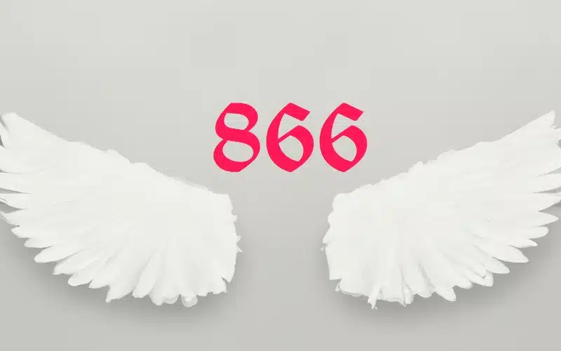 866 angel number twin flame 1 866 angel number twin flame