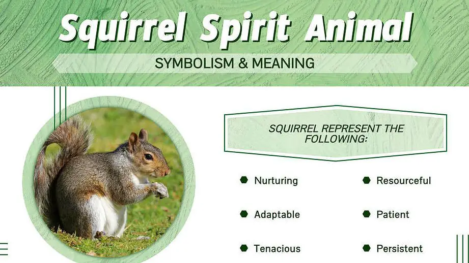 Squirrel in Dream Meaning: Exploring the Spiritual Significance of Squirrel Dreams 1 Squirrel in Dream Meaning: Exploring the Spiritual Significance of Squirrel Dreams
