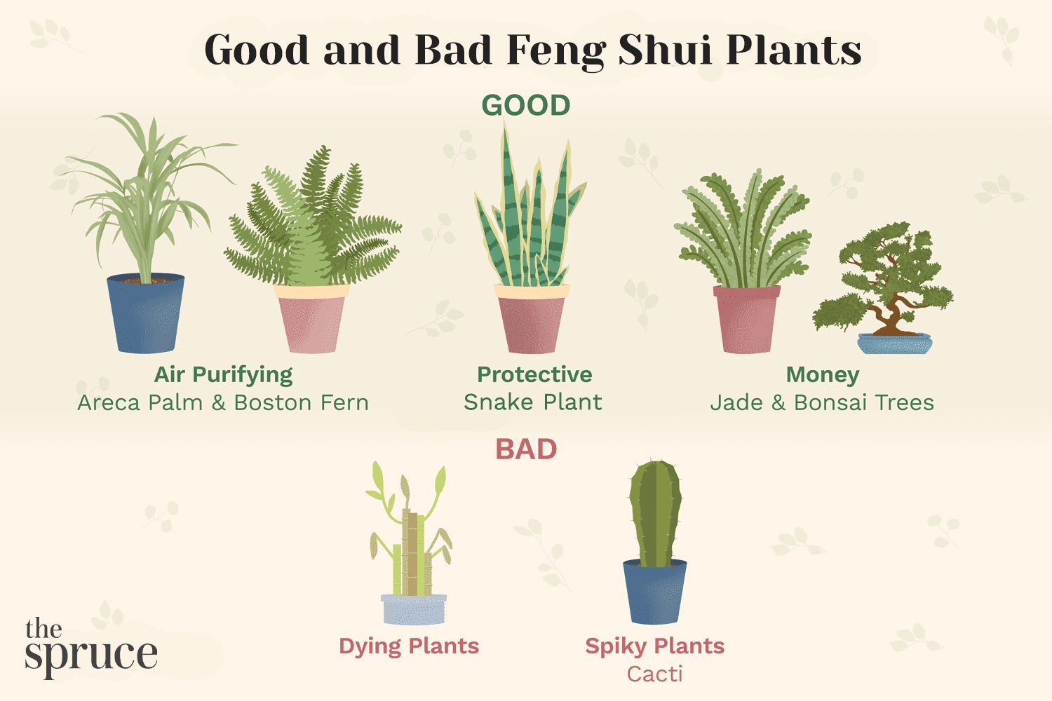 Feng Shui Tree Placement: Avoid Bad Luck, Boost Your Fortune 3 Feng Shui Tree Placement: Avoid Bad Luck, Boost Your Fortune