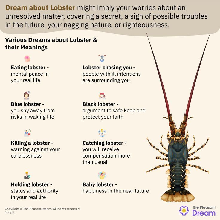 Seeing Lobsters in Dreams? Find Out What It Means Now 1 Seeing Lobsters in Dreams? Find Out What It Means Now
