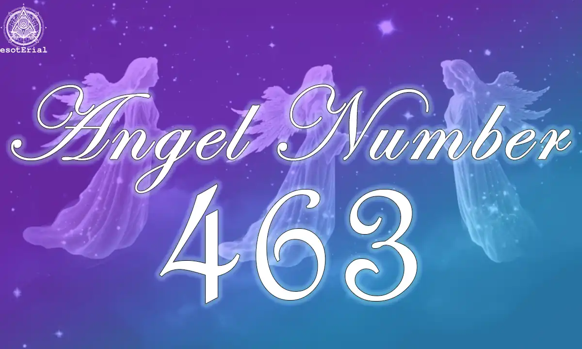 463 angel number twin flame 2 463 angel number twin flame