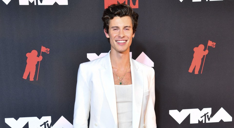 Shawn Mendes Zodiac Sign: Learn All About His Leo Traits and Characteristics 3 Shawn Mendes Zodiac Sign: Learn All About His Leo Traits and Characteristics
