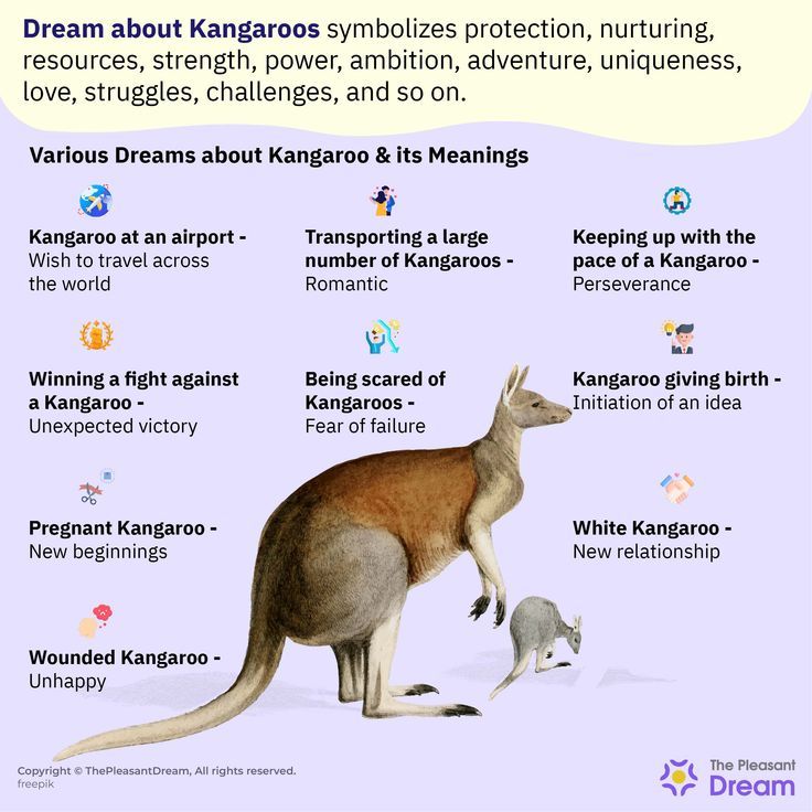 Kangaroo Dream Meaning: Whats the Message Behind Your Dream? 1 Kangaroo Dream Meaning: Whats the Message Behind Your Dream?