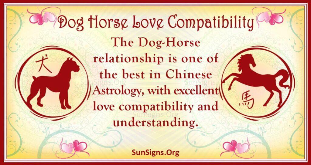 Dog Man Horse Woman: Chinese Zodiac Compatibility Explained 1 Dog Man Horse Woman: Chinese Zodiac Compatibility Explained