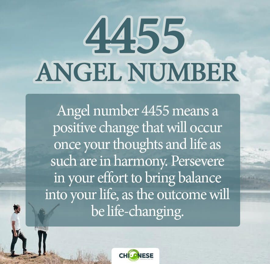 4455 angel number twin flame 1 4455 angel number twin flame