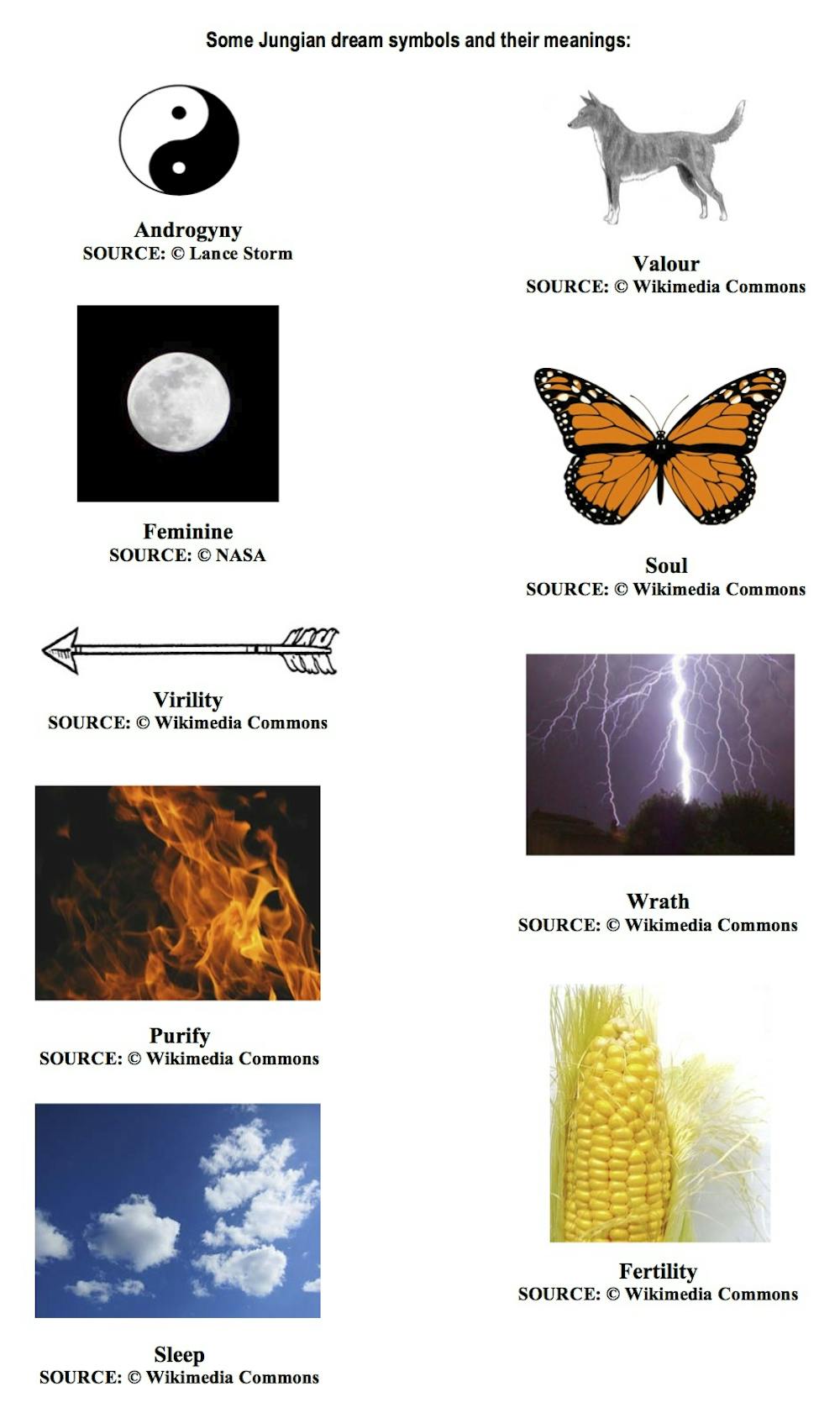 Dream Meaning Woods: Common Symbols and Their Interpretations 3 Dream Meaning Woods: Common Symbols and Their Interpretations