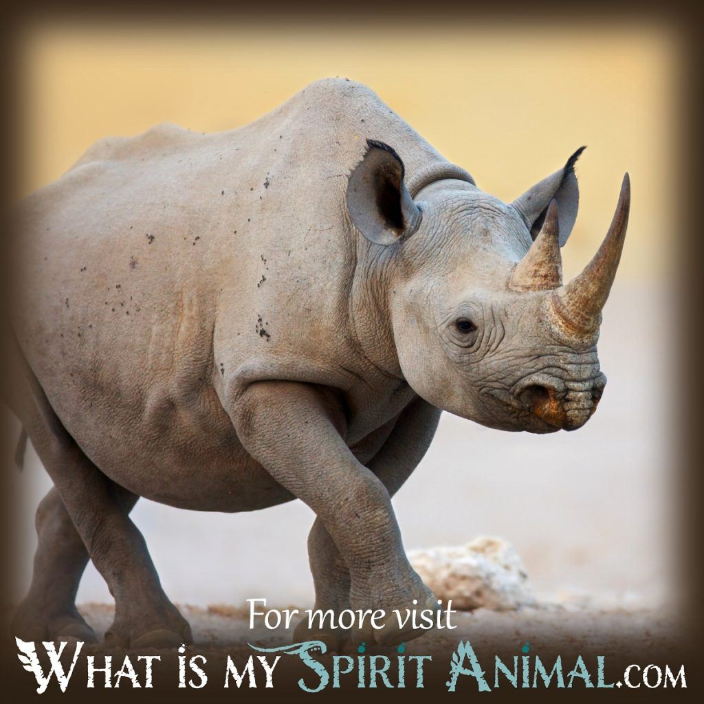 Rhinoceros Dream Meaning: What Does It Really Mean? 1 Rhinoceros Dream Meaning: What Does It Really Mean?