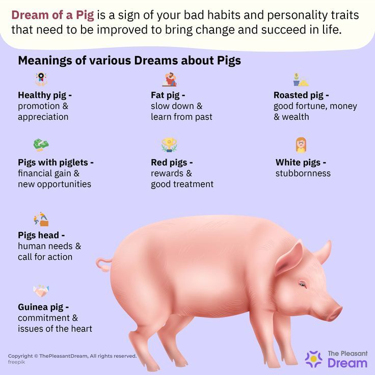 Strange Dream Last Night? Exploring the Dream Meaning Pigs 2 Strange Dream Last Night? Exploring the Dream Meaning Pigs