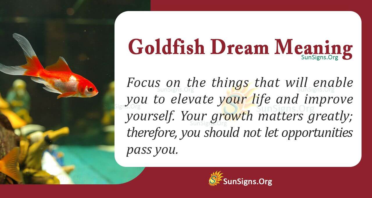 Dream Meaning Goldfish: Spiritual And Psychological Interpretations Of Goldfish Dreams (Tips Inside) 3 Dream Meaning Goldfish: Spiritual And Psychological Interpretations Of Goldfish Dreams (Tips Inside)