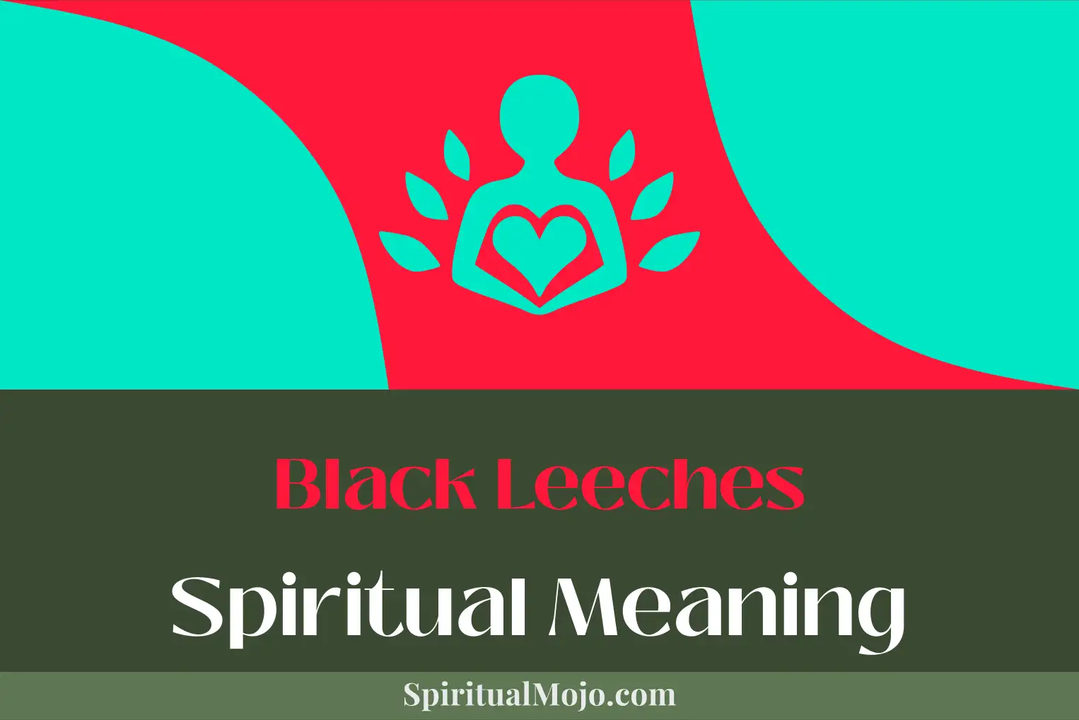 Discover the Hidden Message: Leech Dream Meaning Explained 2 Discover the Hidden Message: Leech Dream Meaning Explained