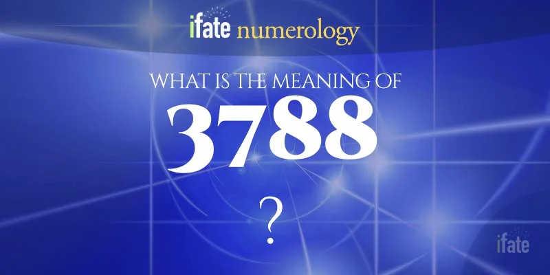 3788 angel number 2 3788 angel number