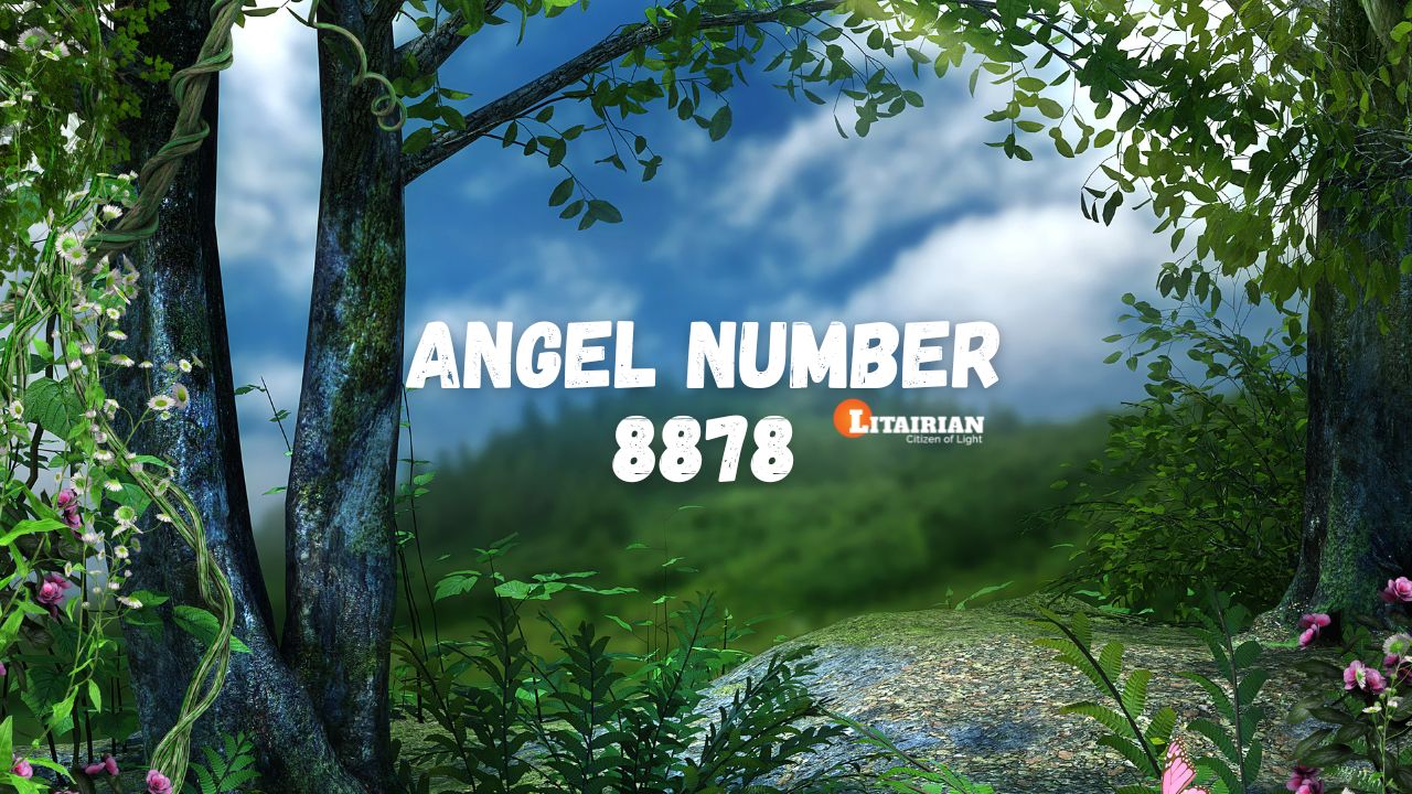 8878 angel number 1 8878 angel number