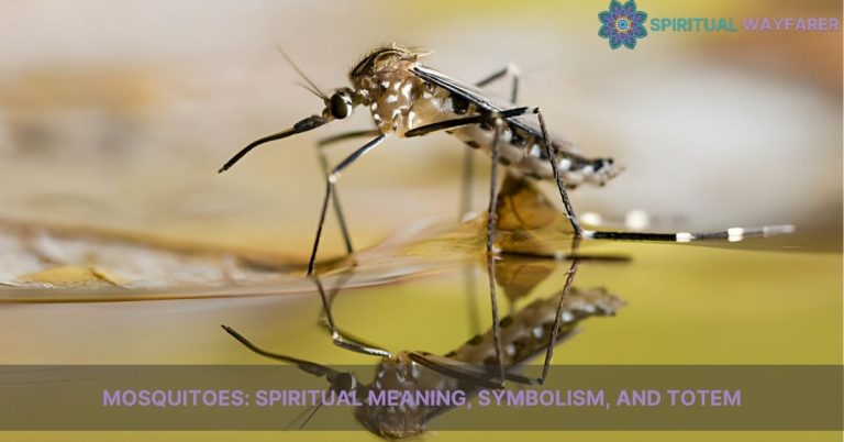 Unlocking the Dream Meaning: Mosquito Symbolism Explained 2 Unlocking the Dream Meaning: Mosquito Symbolism Explained
