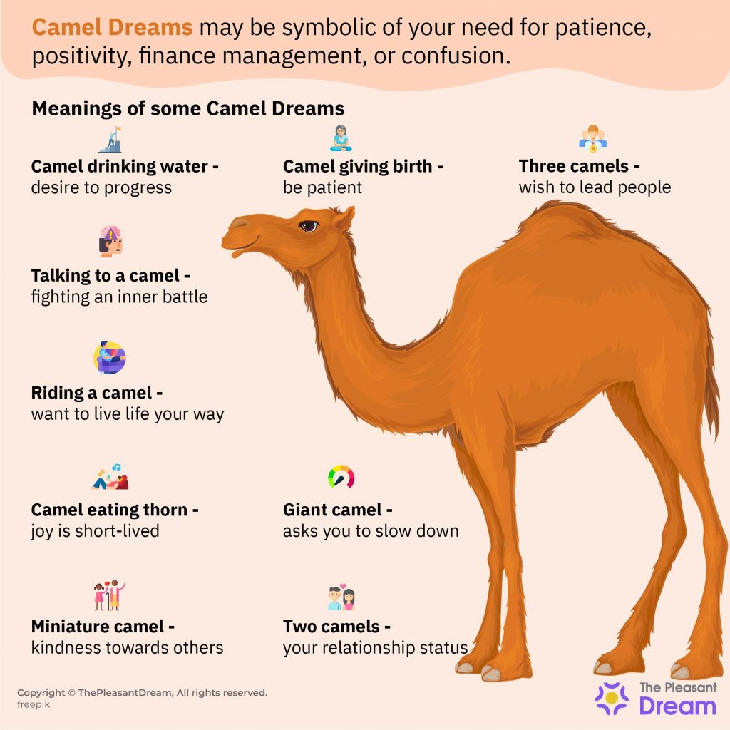 Camel in Dream Meaning Simple Tips to Understanding It 1 Camel in Dream Meaning Simple Tips to Understanding It