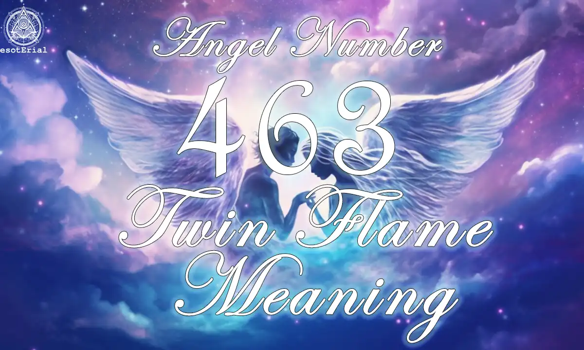 463 angel number twin flame 1 463 angel number twin flame