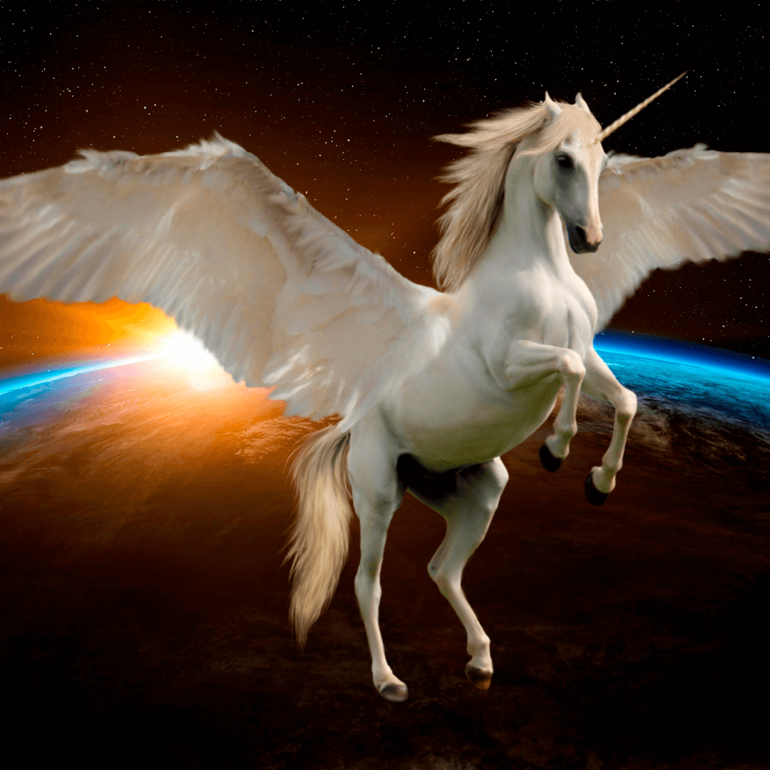 Dream Meaning Unicorn: What Does It Really Mean? 2 Dream Meaning Unicorn: What Does It Really Mean?