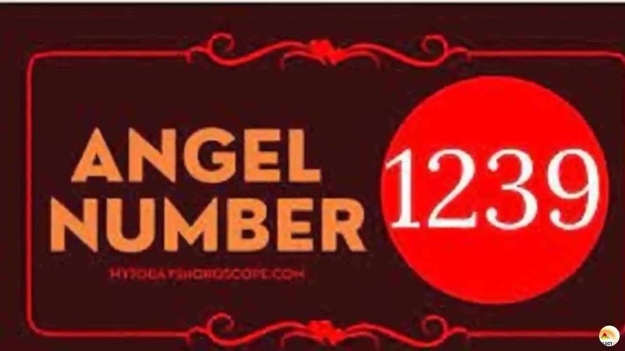 1239 angel number twin flame 3 1239 angel number twin flame