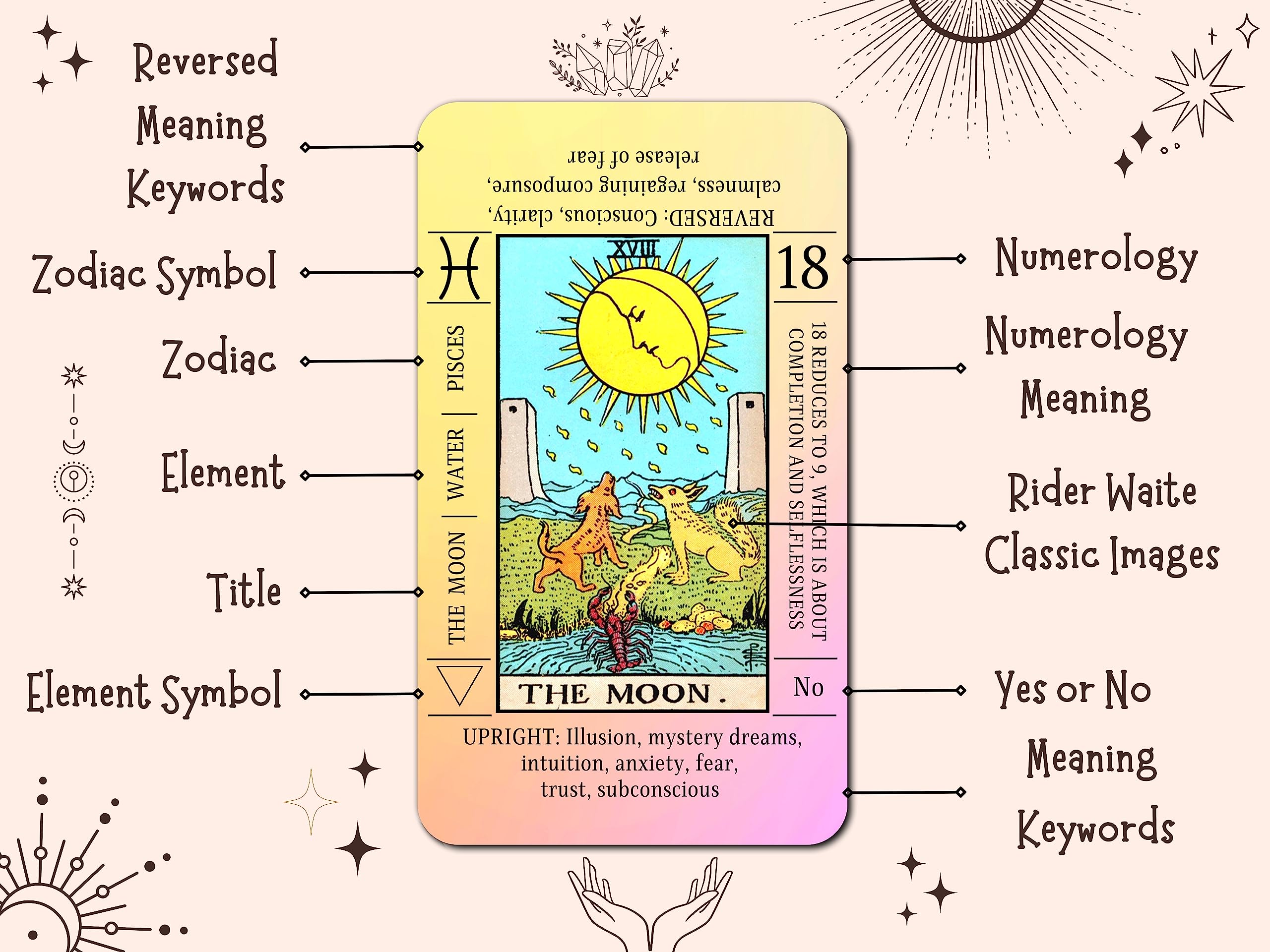 Learn Sun and Moon Tarot Cards: Easy Interpretation Tips 2 Learn Sun and Moon Tarot Cards: Easy Interpretation Tips