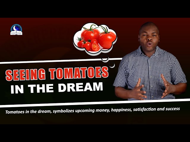 Tomatoes in dream meaning and what they reveal about your life, find out here. 1 Tomatoes in dream meaning and what they reveal about your life, find out here.