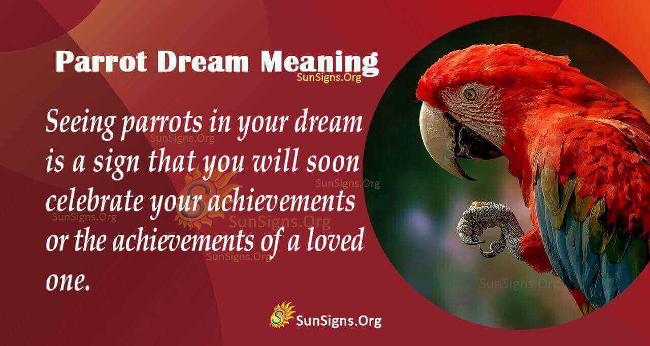 Ever Dreamed of Parrots? Find Out What It Means 3 Ever Dreamed of Parrots? Find Out What It Means