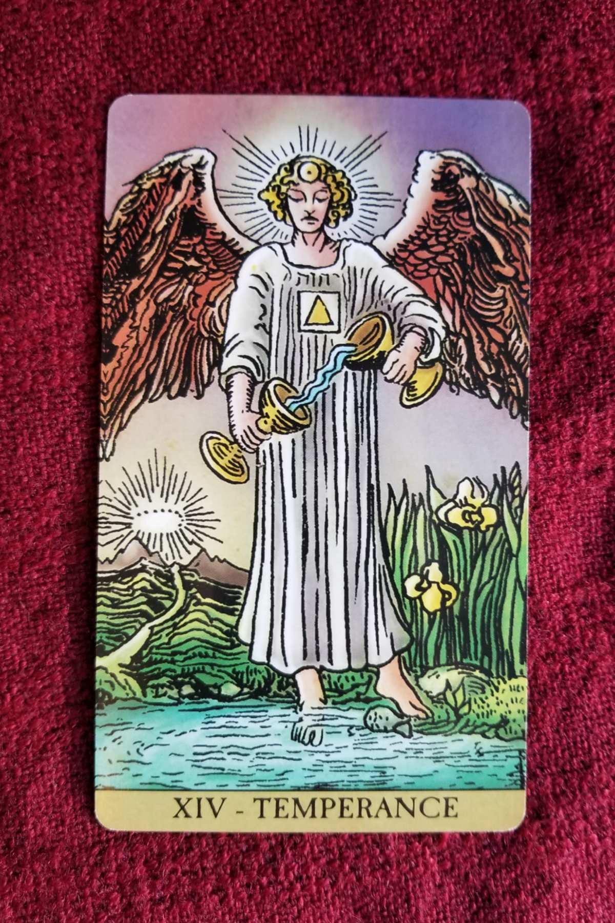 Card of the Day Tarot: Discover Your Daily Tarot Reading With a Free Card of the Day Tarot 2 Card of the Day Tarot: Discover Your Daily Tarot Reading With a Free Card of the Day Tarot