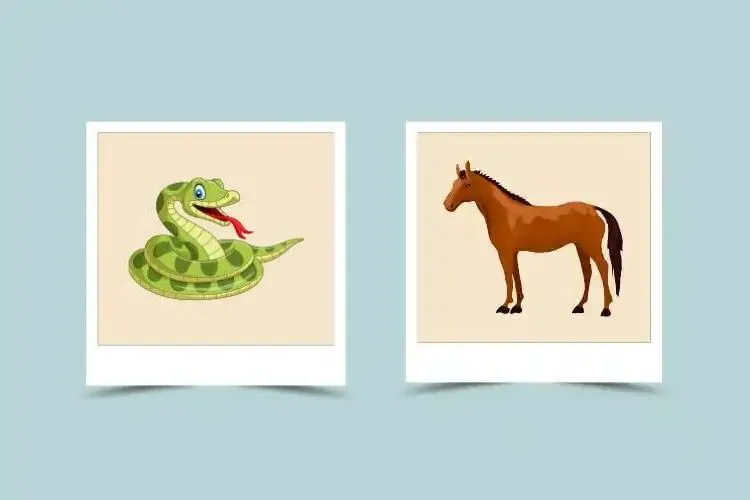 Can Horse and Snake Find Love? Chinese Zodiac Compatibility Explored 4 Can Horse and Snake Find Love? Chinese Zodiac Compatibility Explored