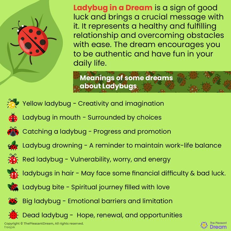 Swarm of Ladybugs Dream Meaning: What Does It Really Mean? 2 Swarm of Ladybugs Dream Meaning: What Does It Really Mean?