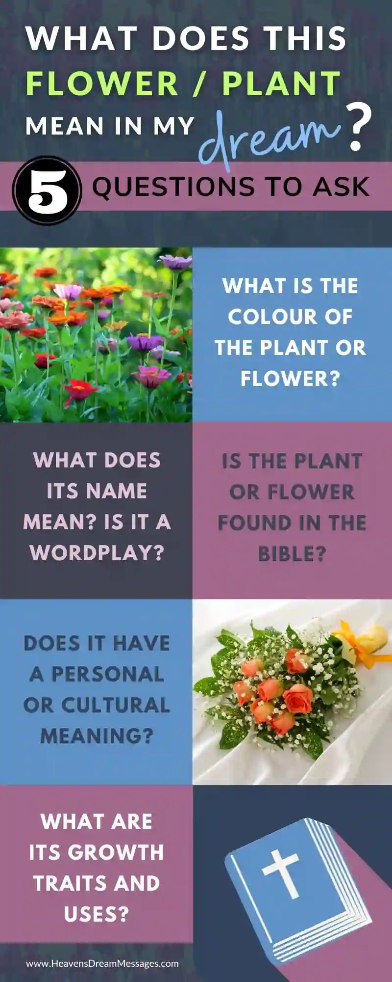 Whats Your Garden Dream Meaning? Find Out the Secrets Here 2 Whats Your Garden Dream Meaning? Find Out the Secrets Here