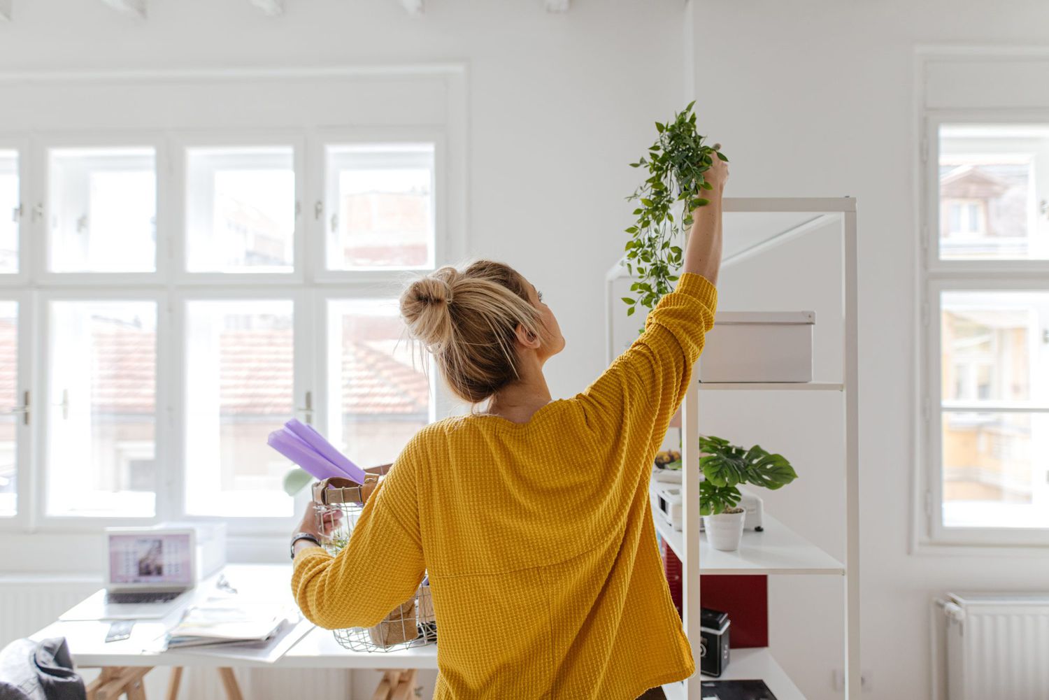Easy Feng Shui Tips for Apartments: Spruce Up Your Space 3 Easy Feng Shui Tips for Apartments: Spruce Up Your Space