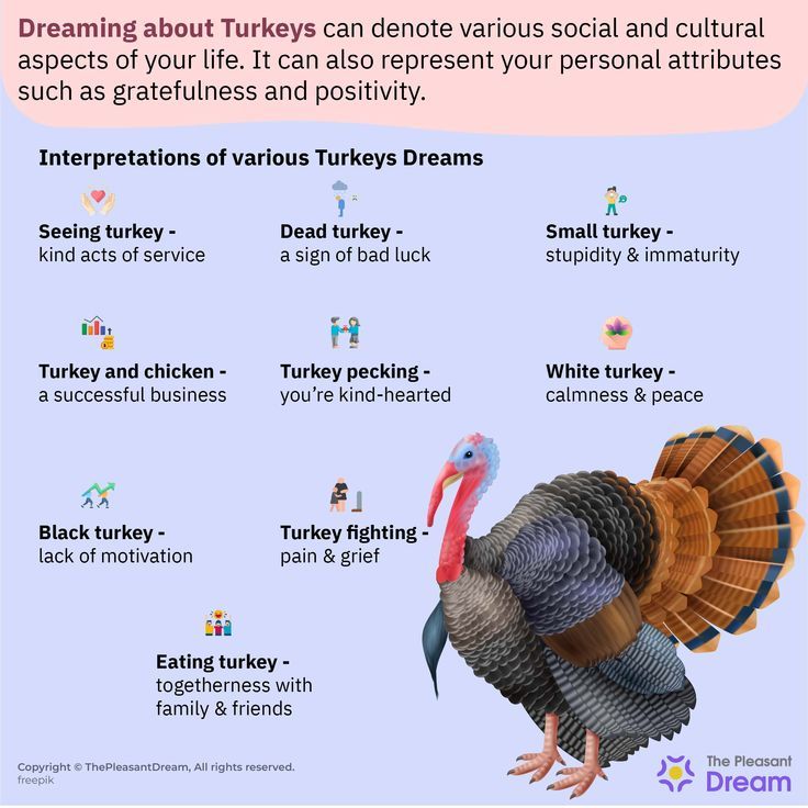 What Does It Mean When You Dream About Turkeys (Turkey Dream Meaning Explained Simply) 1 What Does It Mean When You Dream About Turkeys (Turkey Dream Meaning Explained Simply)