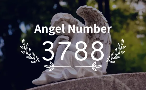 3788 angel number 3 3788 angel number