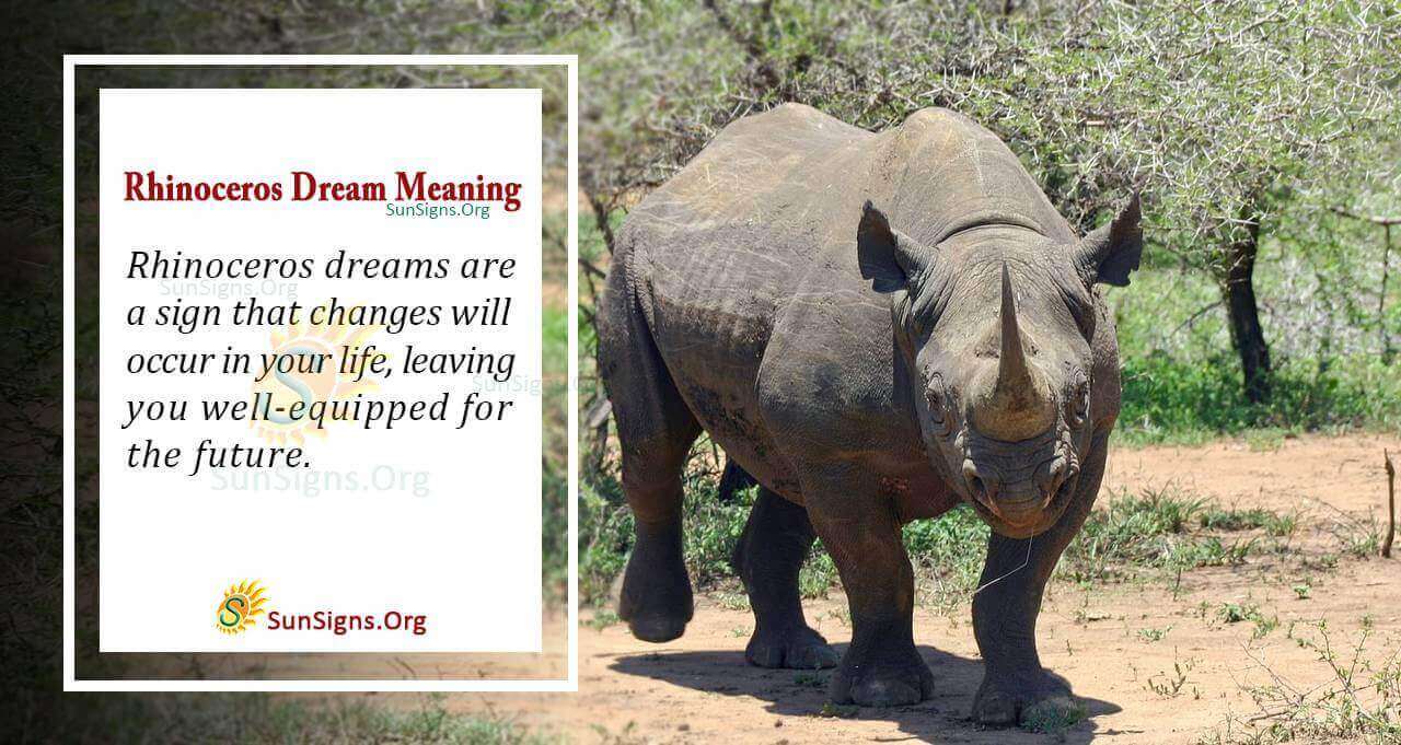 Rhinoceros Dream Meaning: What Does It Really Mean? 2 Rhinoceros Dream Meaning: What Does It Really Mean?