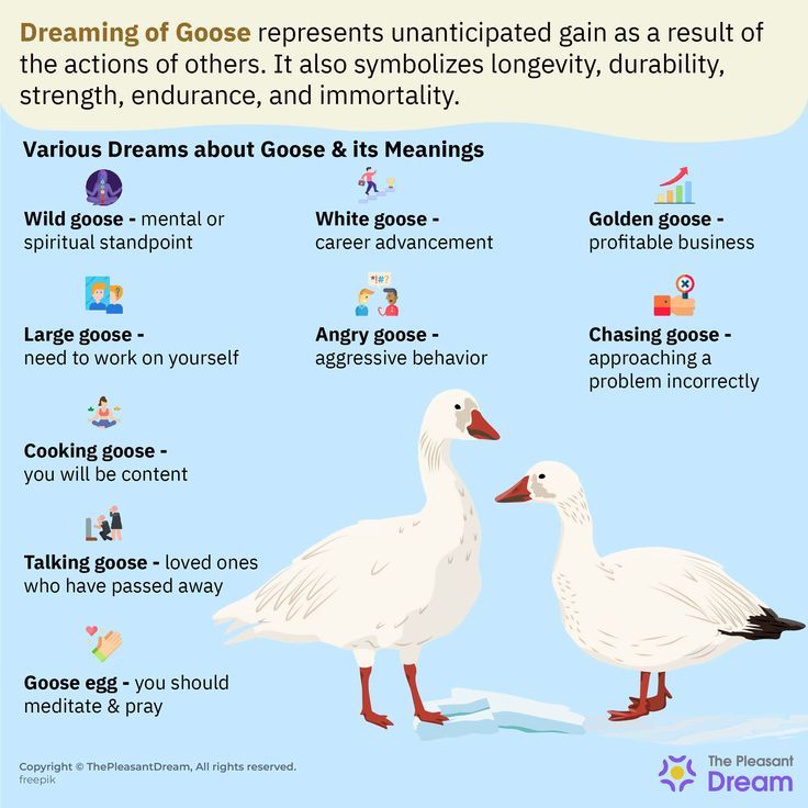 Goose Dream Meaning: Good Luck or Bad Omen? 3 Goose Dream Meaning: Good Luck or Bad Omen?