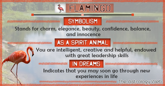 Flamingo Dream Meaning: Good Luck or Bad Sign? 1 Flamingo Dream Meaning: Good Luck or Bad Sign?