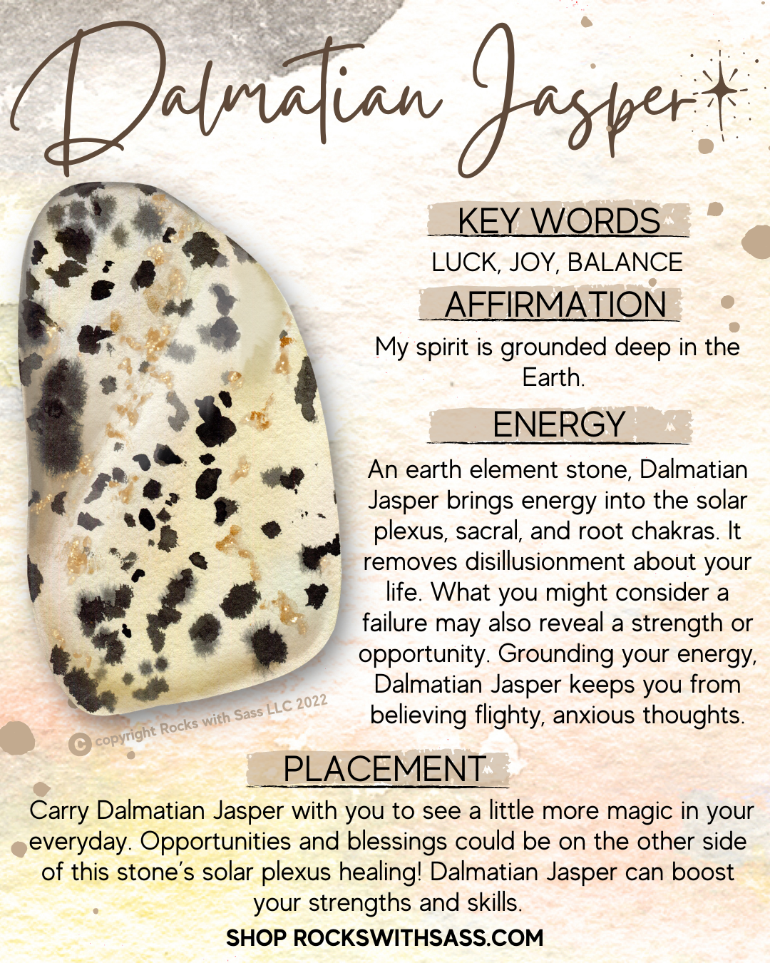 Dalmatian Spiritual Meaning: Spotting the Signs and Messages 2 Dalmatian Spiritual Meaning: Spotting the Signs and Messages