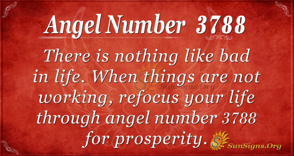 3788 angel number 1 3788 angel number