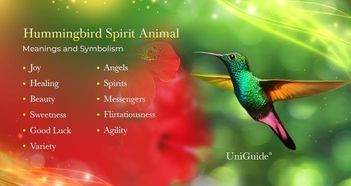 Hummingbird in Dream Meaning: What Your Subconscious Is Trying to Tell You 1 Hummingbird in Dream Meaning: What Your Subconscious Is Trying to Tell You